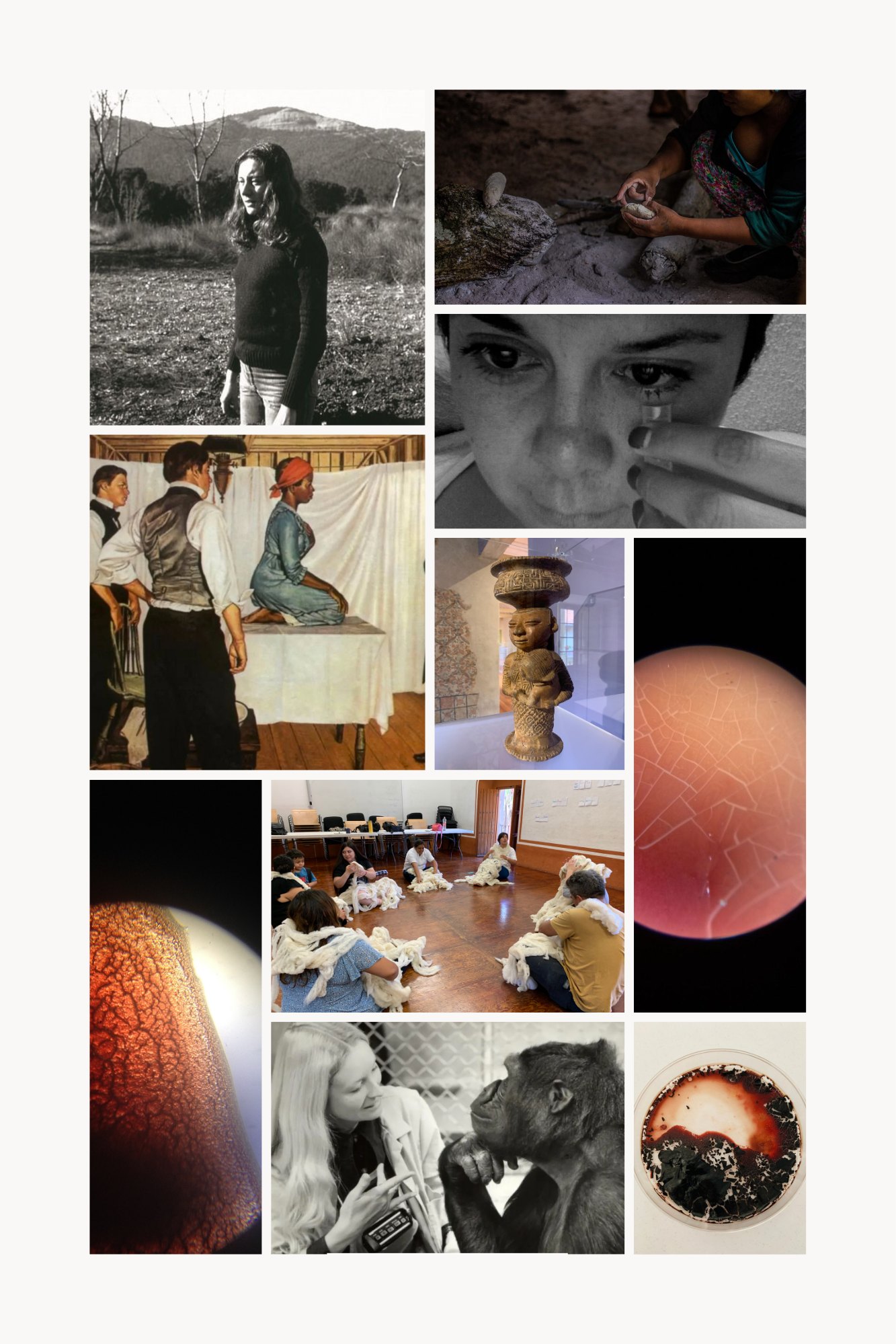 collage_diplomado