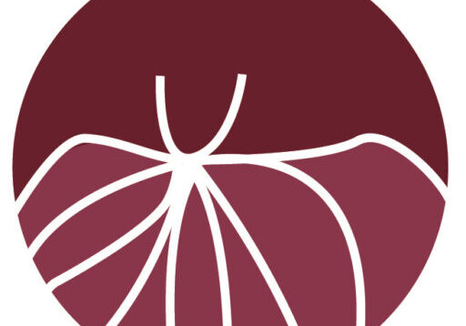 cropped-Copia-de-BS-LOGO-COMPLETO-1-2.jpg https://biologystudio.com.mx/wp-content/uploads/2020/04/cropped-Copia-de-BS-LOGO-COMPLETO-1-2.jpg